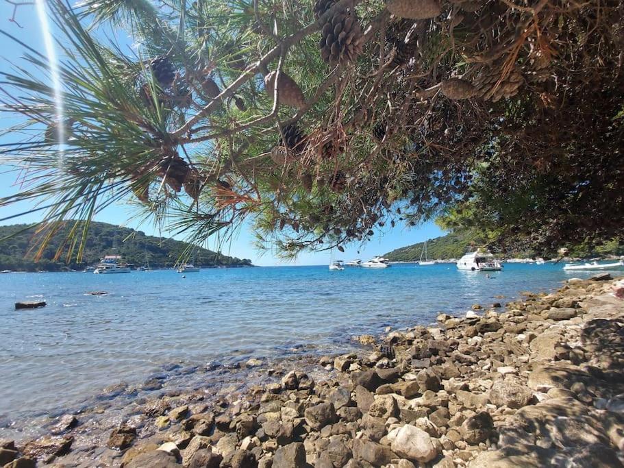 Babino Polje Apartment Kristic - Saplunara, Mljet מראה חיצוני תמונה