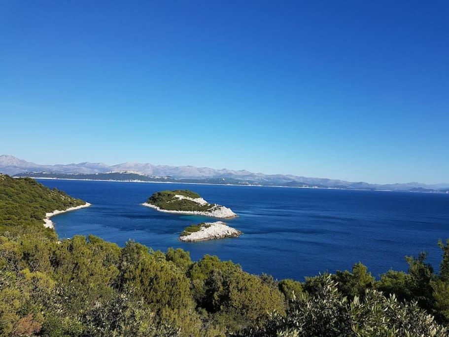 Babino Polje Apartment Kristic - Saplunara, Mljet מראה חיצוני תמונה