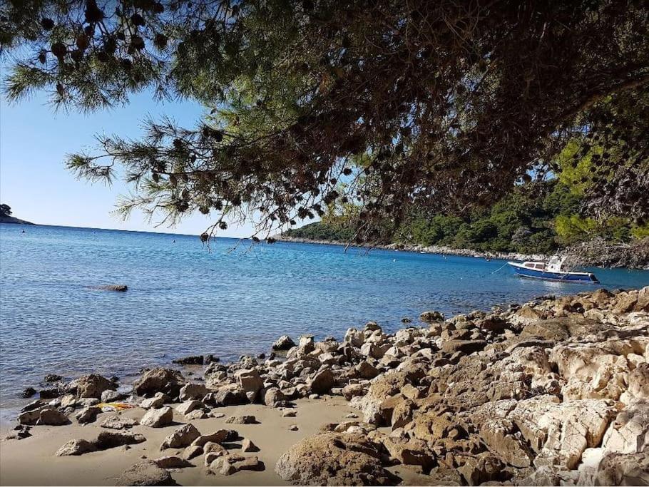 Babino Polje Apartment Kristic - Saplunara, Mljet מראה חיצוני תמונה
