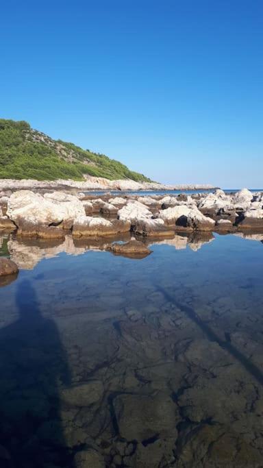 Babino Polje Apartment Kristic - Saplunara, Mljet מראה חיצוני תמונה