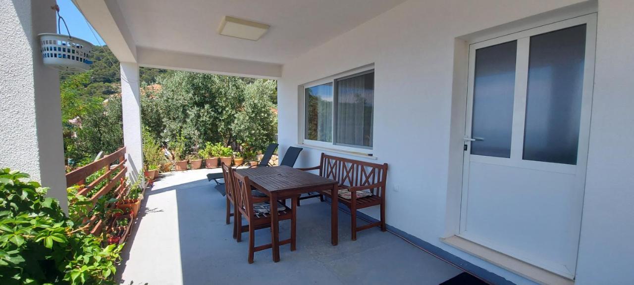 Babino Polje Apartment Kristic - Saplunara, Mljet מראה חיצוני תמונה